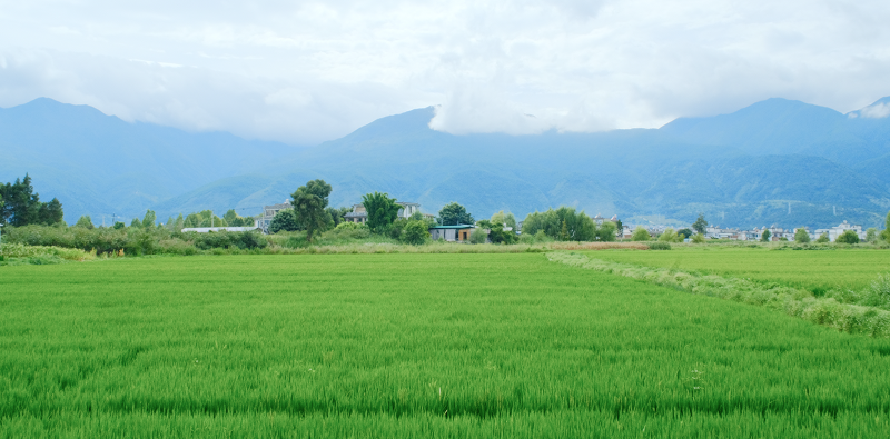 Mountain grassland scenery seen during the REKO team trip to Yunnan, highlighting China's natural beauty and REKO company culture.